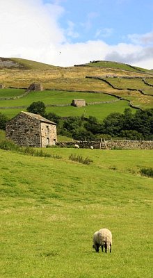 england_walking_yorkshire_ dales_hiking_tour.jpg